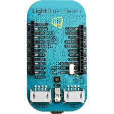 LIGHT BLUE BEAN